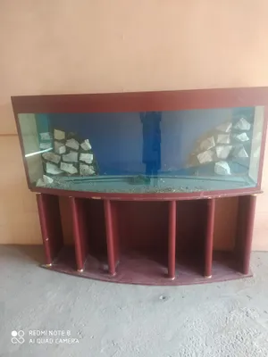Акварин 1