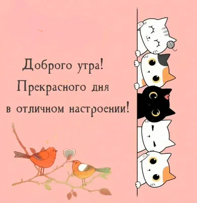 rus tilini o‘qitish