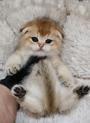 Plyajdagi shaxsiy erotika