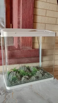 akvarium sotiladi 1