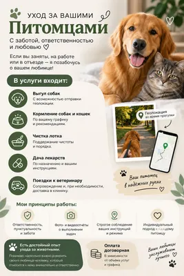 зооняня домашних животных