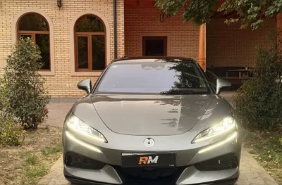 Denza Z9 holati idial 1