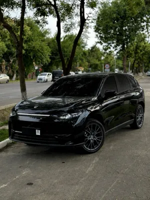 Leapmotor C10 ev 1