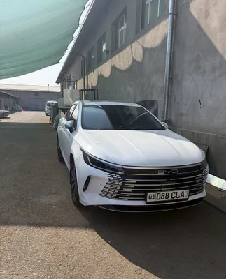 Byd Chazor canfort 3pz 120 km 1