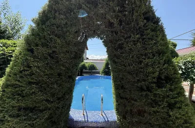 O‘z dachamni sotaman 1
