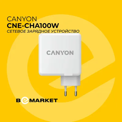 Сетевое зарядное устройство Canyon CNE-CHA100W 1