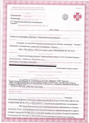 Продается с первых рук говядина халяль охлажденная 1