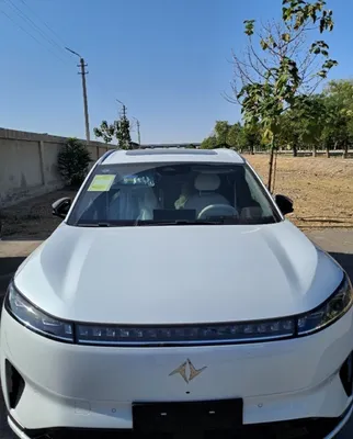 Dong feng elektra 610 Masla