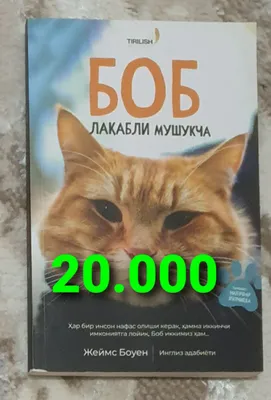 bob laqabli mushukcha kitobi
