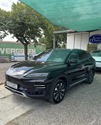 BYD Champion Smart 1