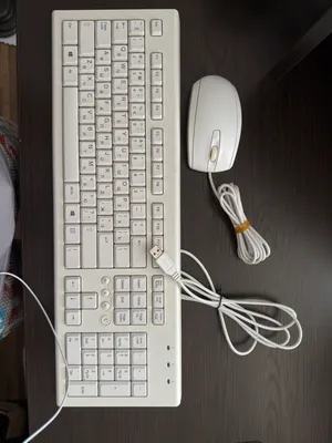 Mishka klavyatura HP komplekt 1