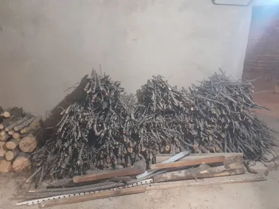 Дрова из вишни и инжира для сумаляка и свадеб 1