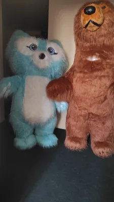 Костюмы медведя и белки 1