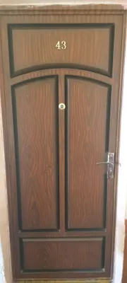 дверь железная 1