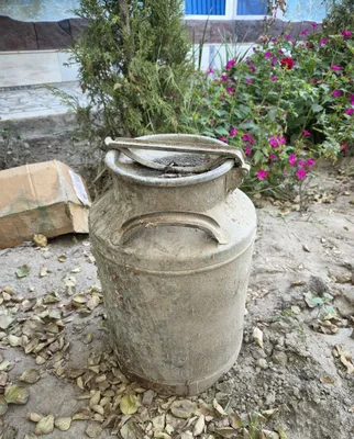 "Temir ididsh" sotiladi 1