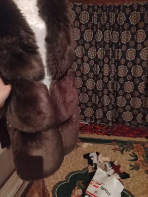 Дублёнка 1