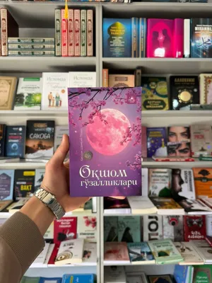 Xasson Shamsiy Posho - Oqshom goʻzalliklari kitobi