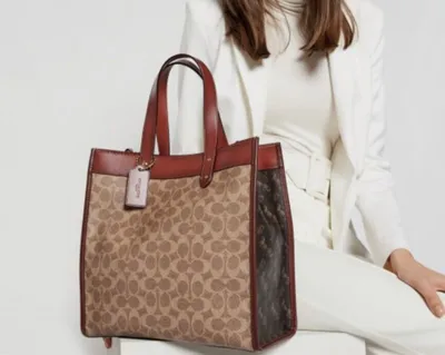 COACH Truffle Rust sumkasi 1