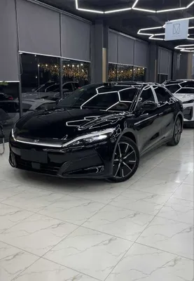 Byd Han Naqt va halol nasiyaga 1