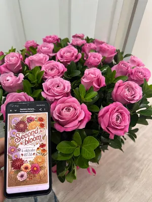 Для подарка