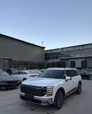 Hyundai Palisade 1