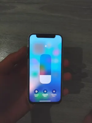 iPhone 12 mini ideal 1