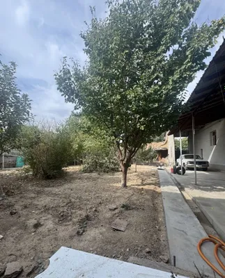 13 500 $ Arzon 3 sotix yer Xasanboy 1