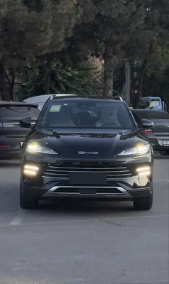 BYD Champion, гибрид 1