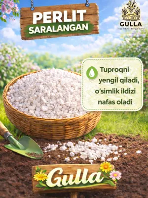 O‘simliklar uchun saralangan «Gulla» perlit (4 litr)