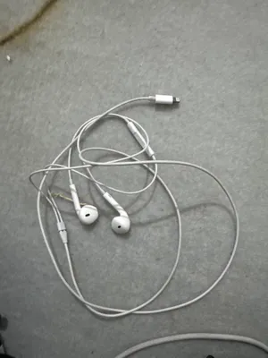 Apple EarPods 1