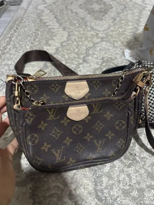 Сумка Luis Vuitton 1