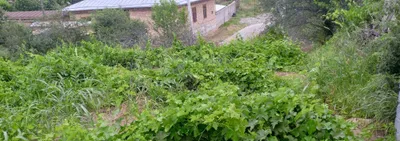 Продаётся земельный участок 1