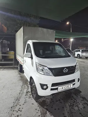 Changan T 30, чистая машина 1