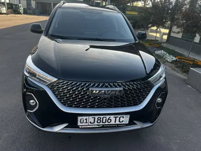 Haval M6, люк, подножка есть 1