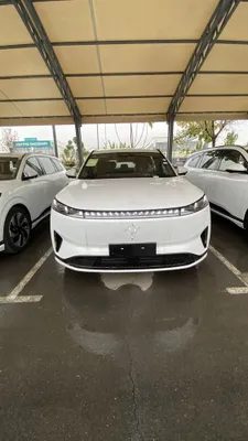 Dongfeng 008 gibrit 1