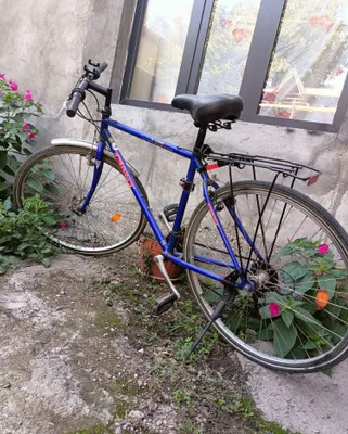 Germaniyaning poyga velosipedi
