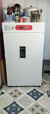 Новый инкубатор 1