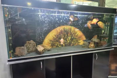 400 litrli akvarium sotiladi 1