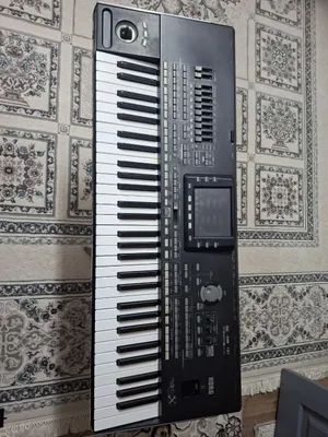 Korg pa3x 256 ram 1