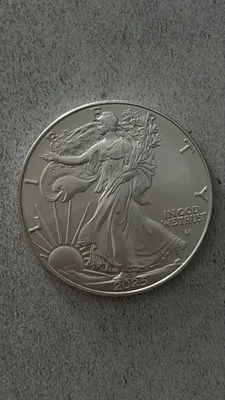 Сердрянный доллар США 1