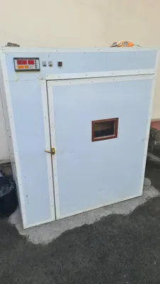 Avtomat inkubator 1000talik 1