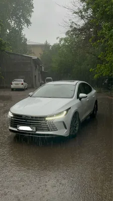 Премиальный трансфер • Личный водитель • По городу и за его пределами