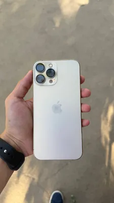 iPhone 13 Pro Max 1
