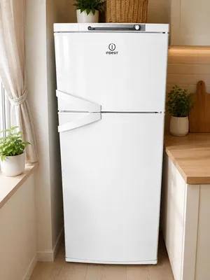 Indesit muzlatgichi 1