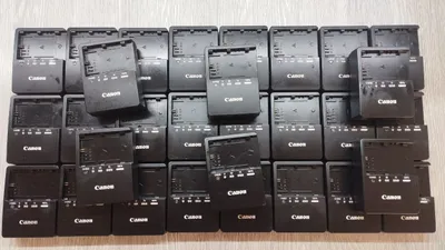 Canon E6 zaryadchik