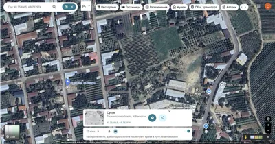 10 sotka to'g'ruto'rtburchak So'qoq (Сукок) Soqoq Паркентда ер сотила