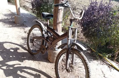 VELOSIPED kattalar uchun 1