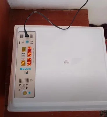 inkubator 16 , 32, 64, 128, 176, 250, 500 talik 1