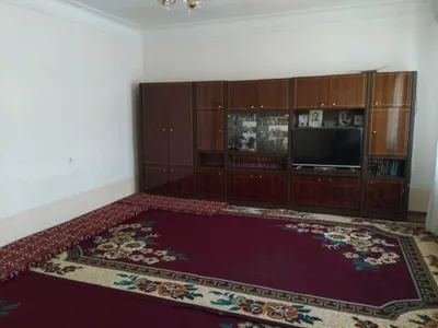 Oshqozonda yotgan katta eshakda