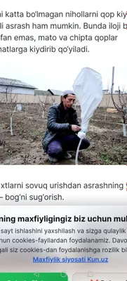 Daraxtlardi sovuqdan va isiqdan himoya qilish 1